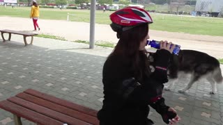 gc/MilkyWatchfulLcont